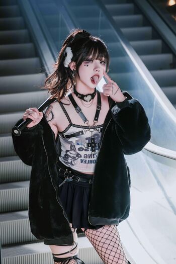 shiliuyelei