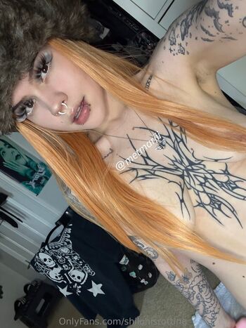 shilohisrotting