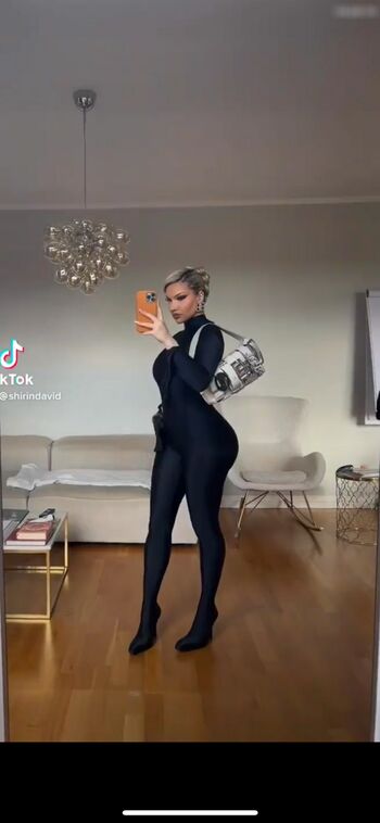 Shirin David