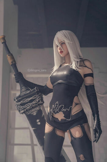 Shirogane Sama