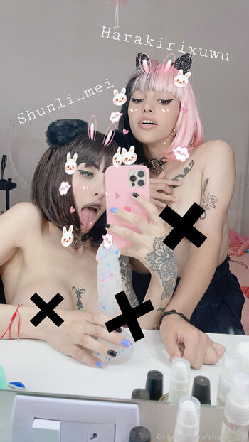 Shunli_Mei