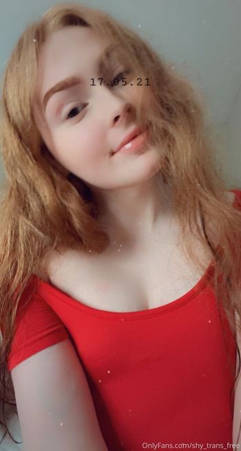 shy_trans_free