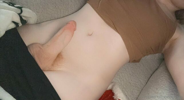 shy_trans