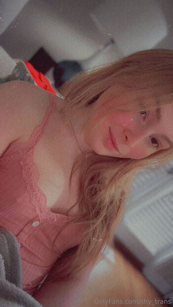 shy_trans