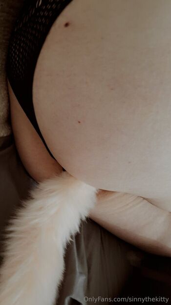 sinnythekitty