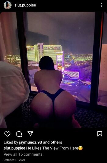 slutpuppie