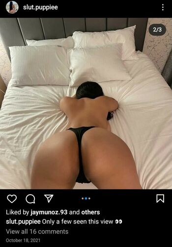slutpuppie
