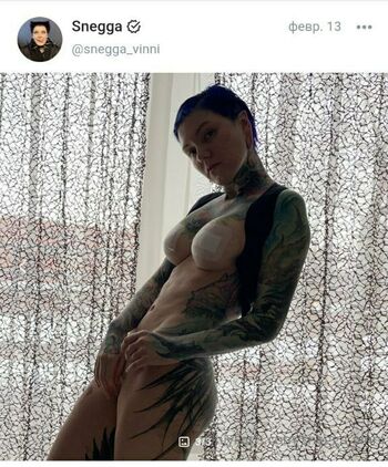 Snegga_vinni