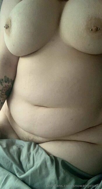 snowangelcake