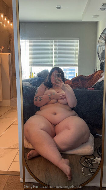 snowangelcake
