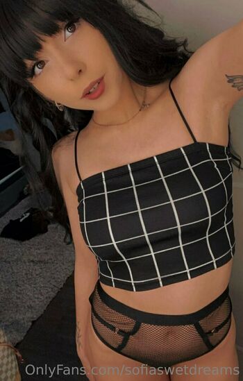sofiaswetdreams