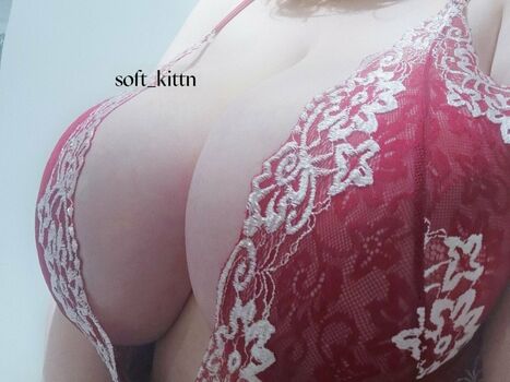 soft-kittn