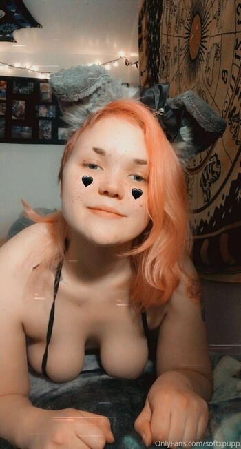 softxpupp