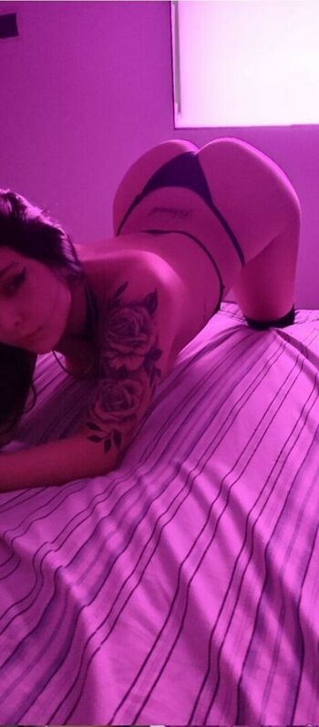 sofy_dy
