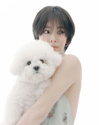 Song Hye-kyo
