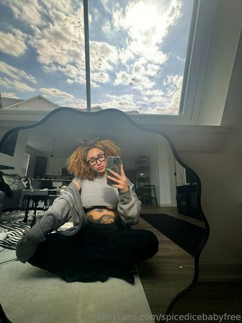 spicedicebabyfree