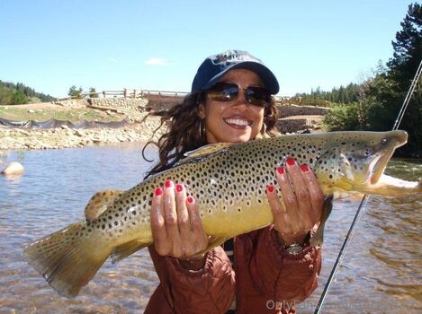 Stacey Dash