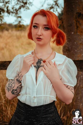 Starrybunny