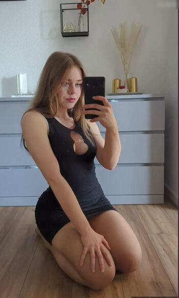 steffidnt
