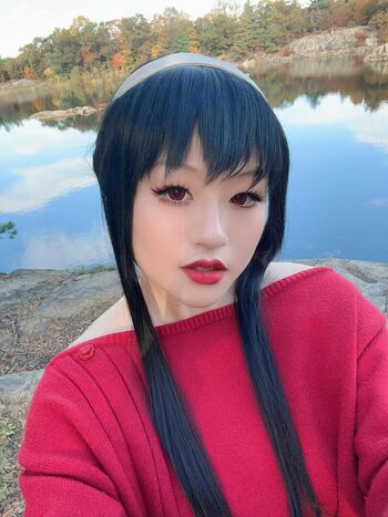 stel.hua
