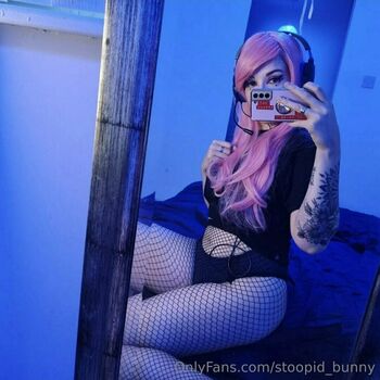 stoopid_bunny