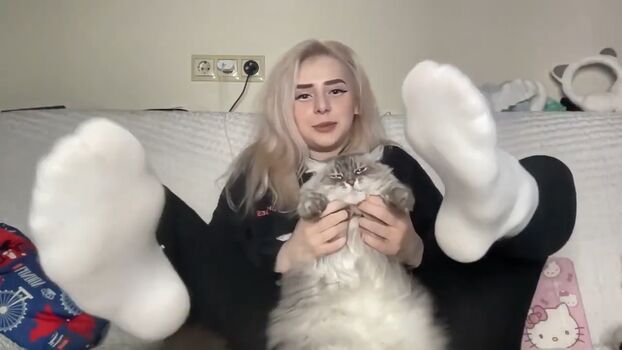 Sveta Sollar