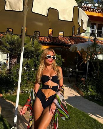 Sylvie Meis