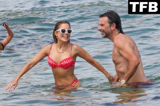 Sylvie Meis