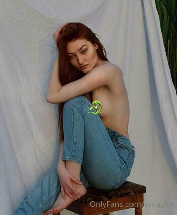 taira_fox