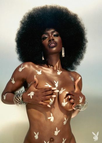 Tanerelle