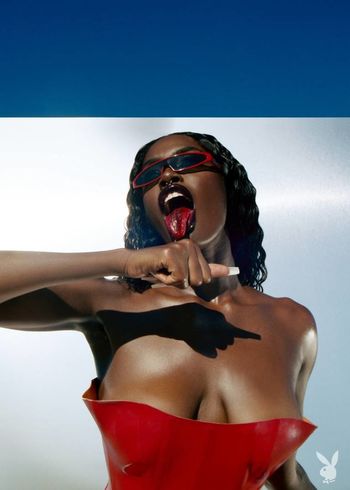 Tanerelle
