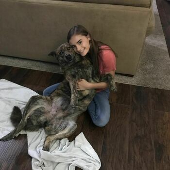 Taylor Brianne