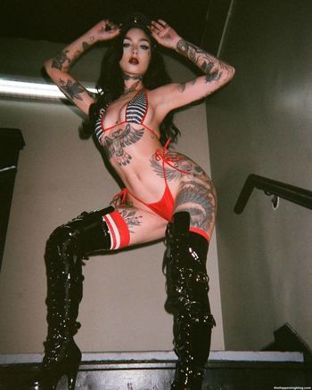 Taylor White