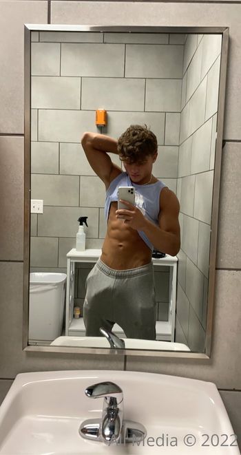 taylorsfree