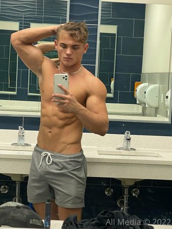 taylorsfree