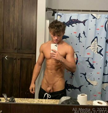 taylorsfree