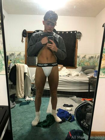 taylorsfree