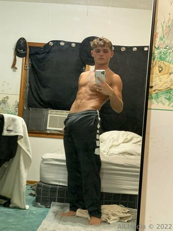 taylorsfree