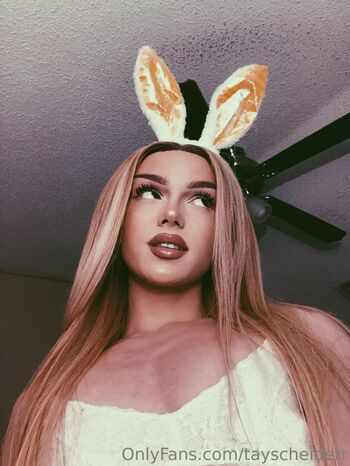 tayscheiderr