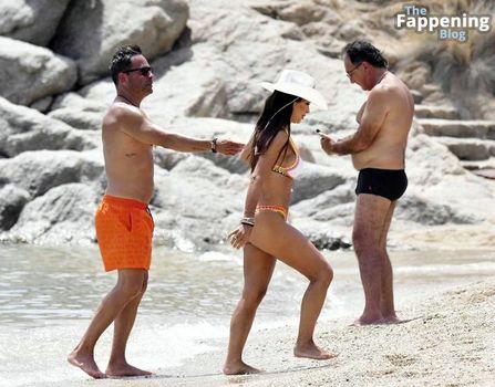 Teresa Giudice