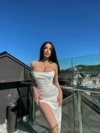 tey_terry