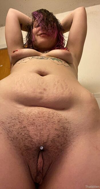 thatkitten2