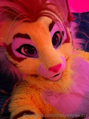 thatyellowkitty