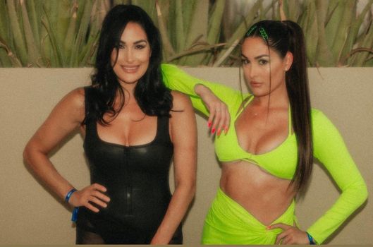 The Bella Twins