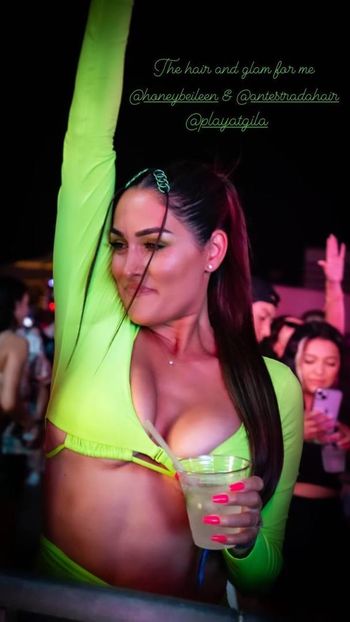 The Bella Twins