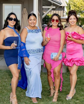 The Bella Twins