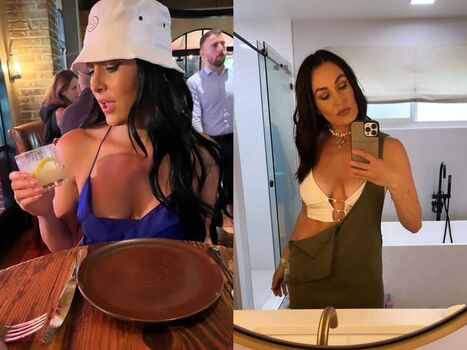 The Bella Twins