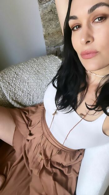 The Bella Twins
