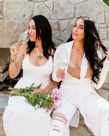 The Bella Twins