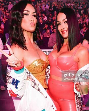 The Bella Twins